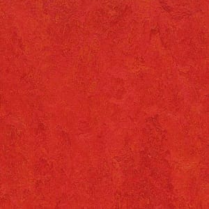 Marmoleum fresco Scarlet